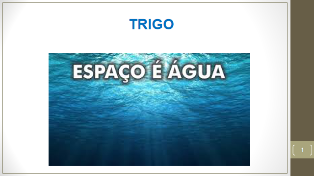 instituto, ayahuasca, erotica, verdade, maome